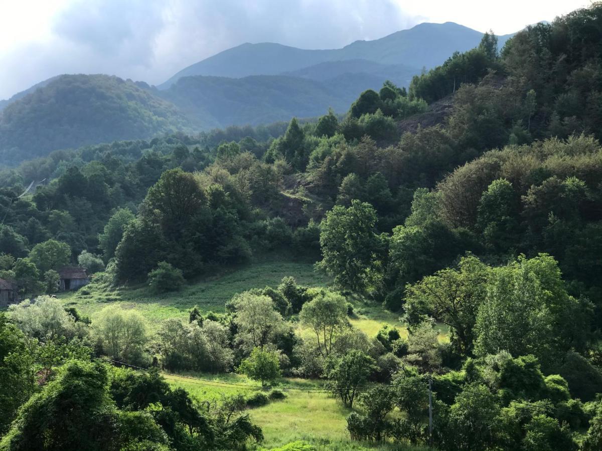 Aphrodite Hills Apartments-Stara Planina Crni Vrh Zewnętrze zdjęcie