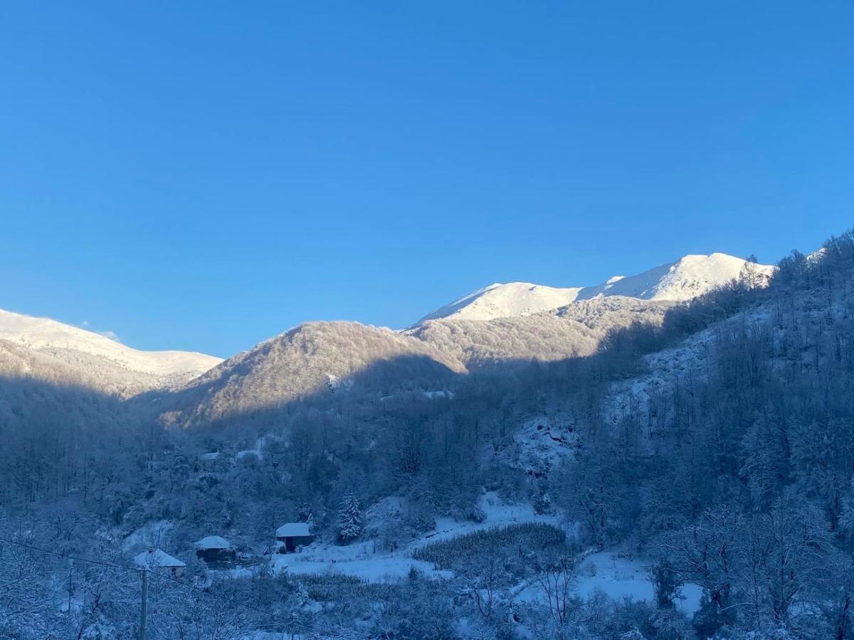 Aphrodite Hills Apartments-Stara Planina Crni Vrh Zewnętrze zdjęcie