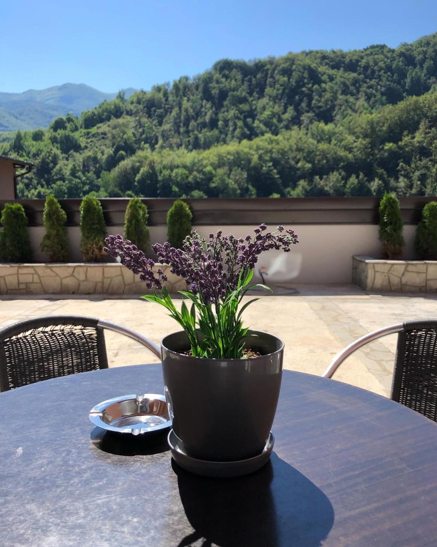 Aphrodite Hills Apartments-Stara Planina Crni Vrh Zewnętrze zdjęcie