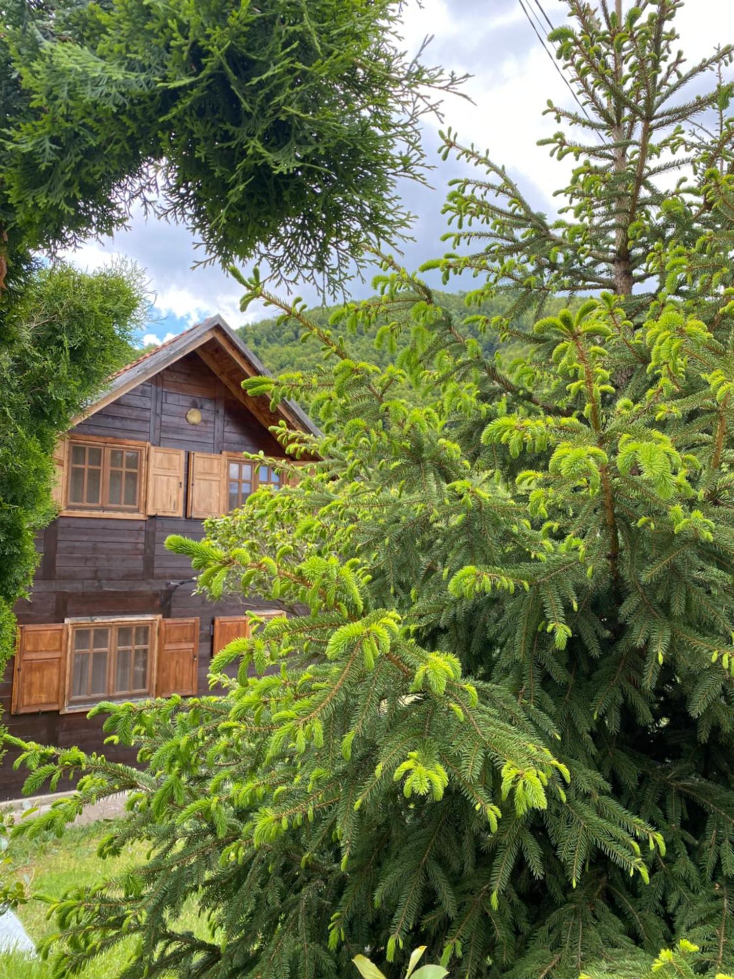Aphrodite Hills Apartments-Stara Planina Crni Vrh Zewnętrze zdjęcie