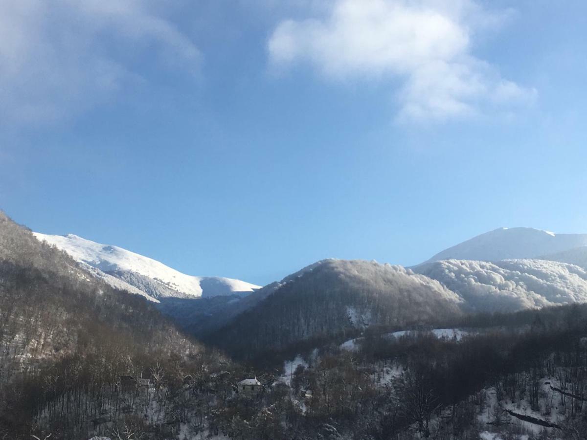 Aphrodite Hills Apartments-Stara Planina Crni Vrh Zewnętrze zdjęcie